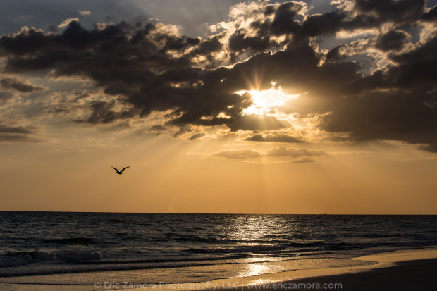 A pelican is the perfect compliment to a beautiful sunset, adding that sense of fleeting moment to the scene. Anna Maria Island, Holmes Beach, Bradenton, Florida.